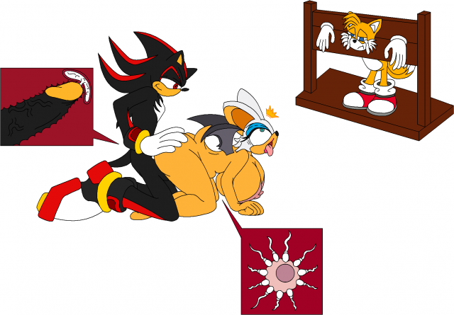 rouge the bat+shadow the hedgehog+tails