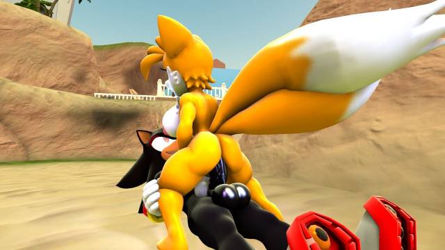 shadow the hedgehog+tails+tailsko