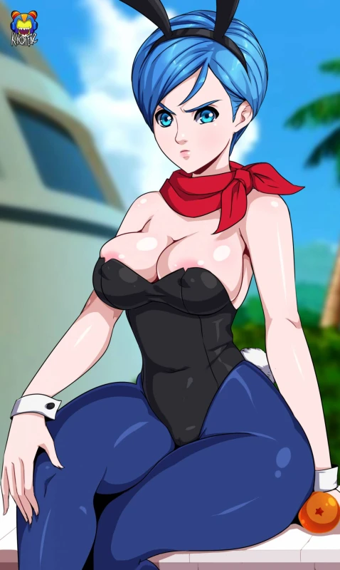 bulma briefs