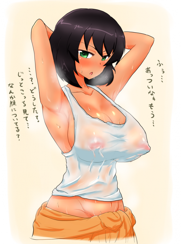 hoshino (girls und panzer)