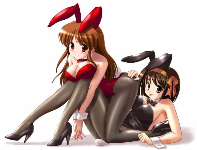 asahina mikuru+suzumiya haruhi