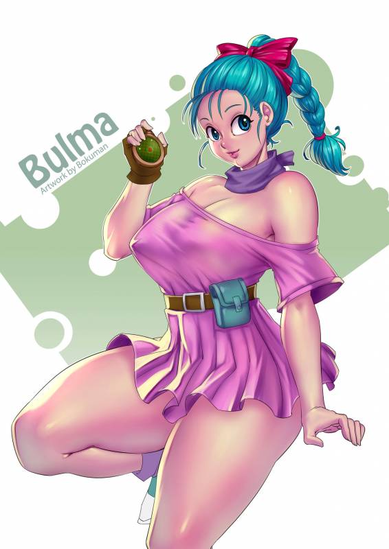 bulma briefs