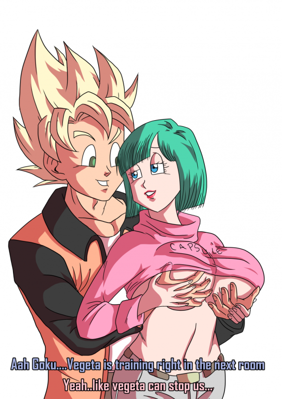 bulma briefs+son goku