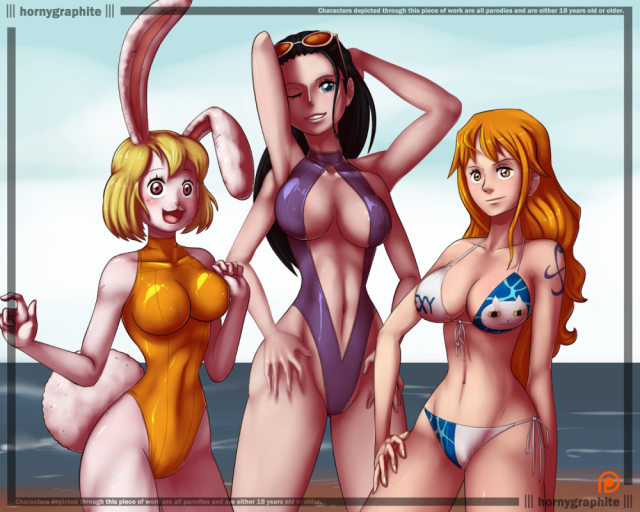 carrot (one piece)+nami (one piece)+nico robin