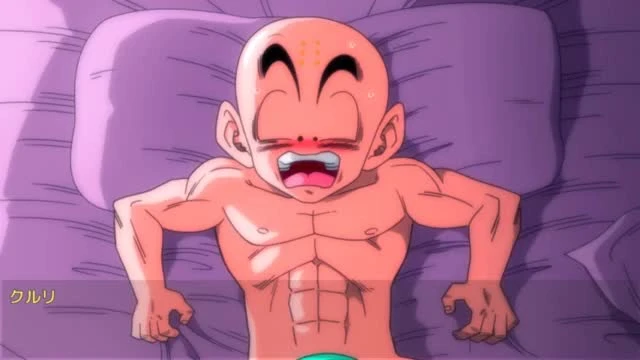 bulma briefs,krillin,son gohan