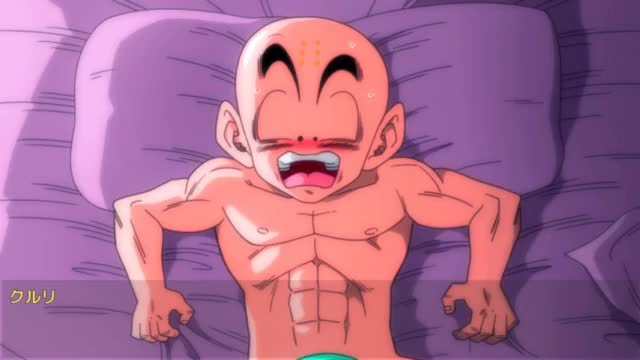 bulma briefs,krillin,son gohan