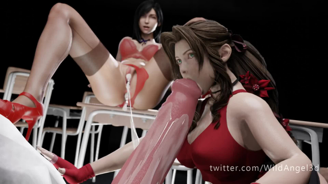 aerith gainsborough,tifa lockhart