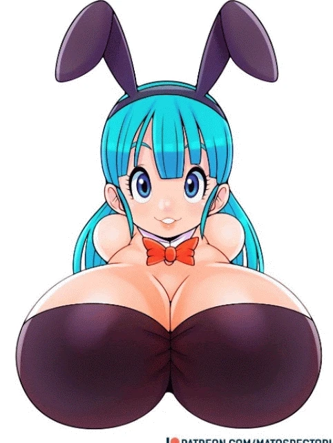 bulma briefs