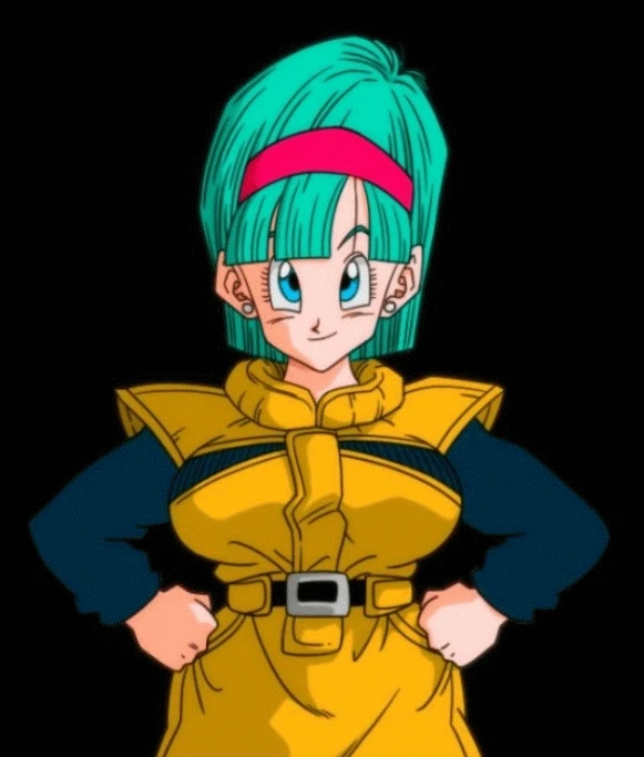 bulma briefs