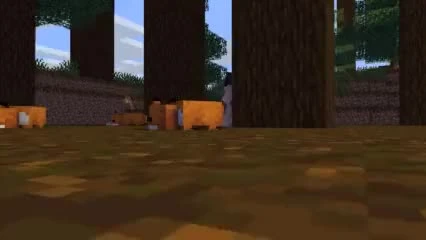 fox (minecraft)