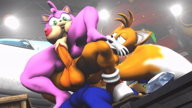 amy rose,sonic the hedgehog,tails