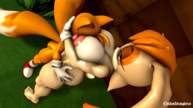 miles prower,tails,vanilla the rabbit