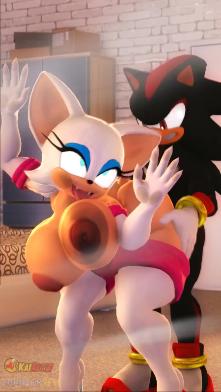 rouge the bat,shadow the hedgehog