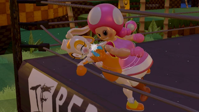 cream the rabbit,toadette