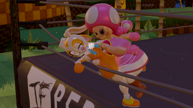 cream the rabbit,toadette