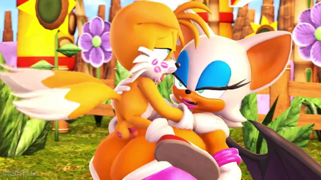 mobian (species),rouge the bat,tails the fox