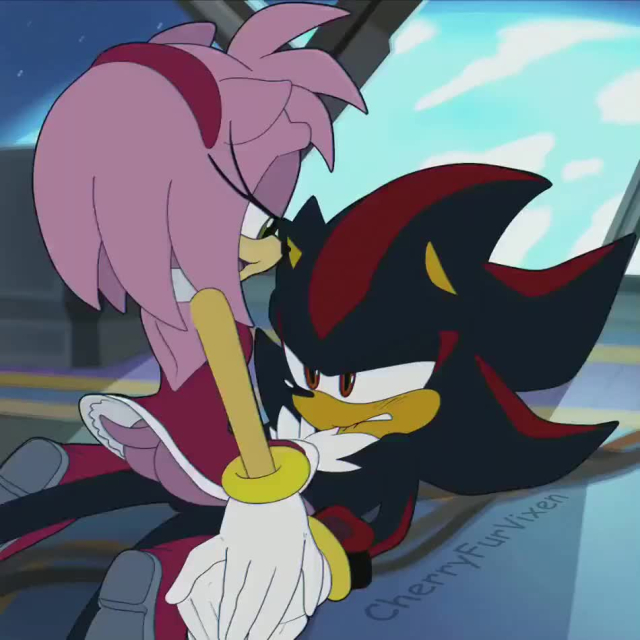 amy rose,shadow the hedgehog