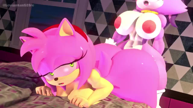 amy rose,blaze the cat