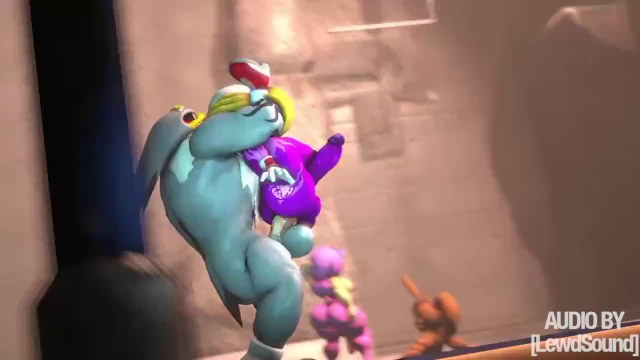 amy rose,bunnie rabbot,storm the albatross,wave the swallow