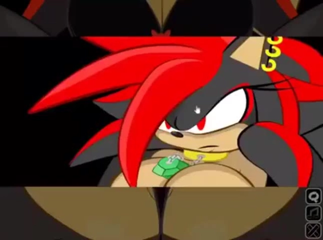 amy rose,bessi the bat,shade the hedgehog,shadow the hedgehog,sonic the hedgehog,sonique the hedgehog,tailsko,vanilla the rabbit,zeena