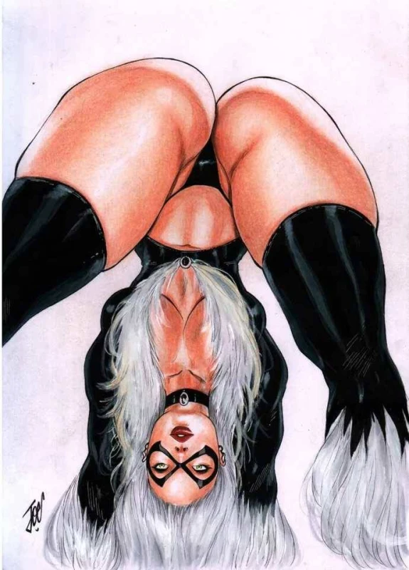 black cat (marvel),felicia hardy
