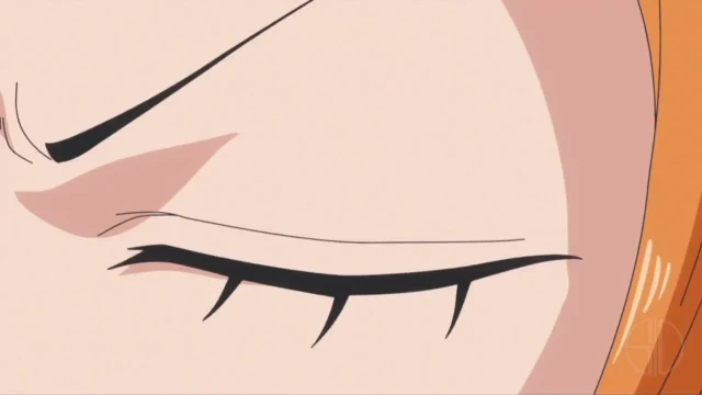 brook (one piece),nami,usopp,vinsmoke sanji