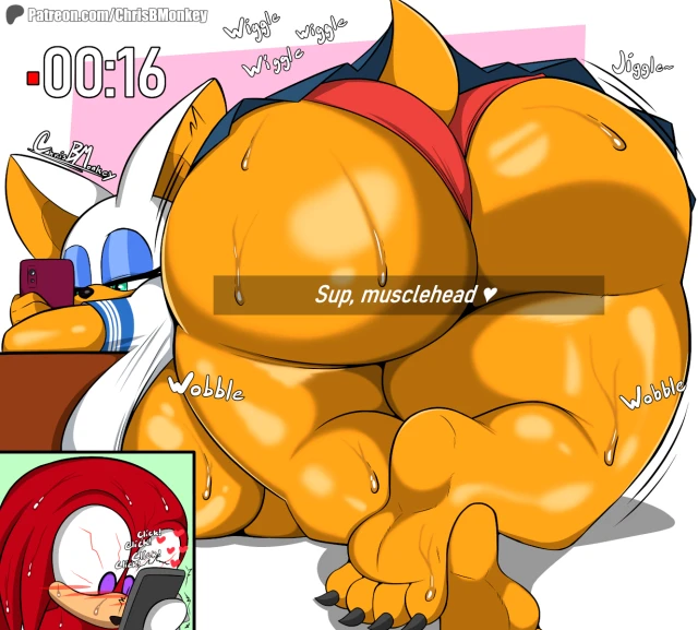knuckles the echidna,rouge the bat