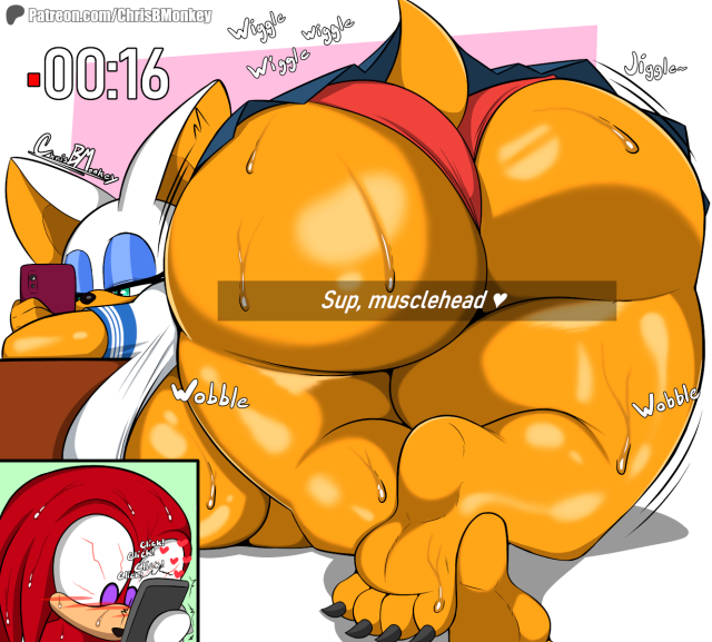 knuckles the echidna,rouge the bat