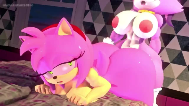 amy rose,blaze the cat