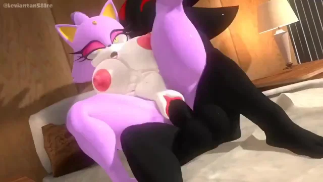 blaze the cat,shadow the hedgehog
