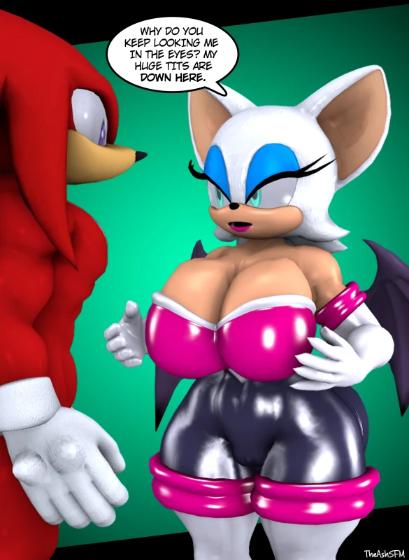 knuckles the echidna,rouge the bat