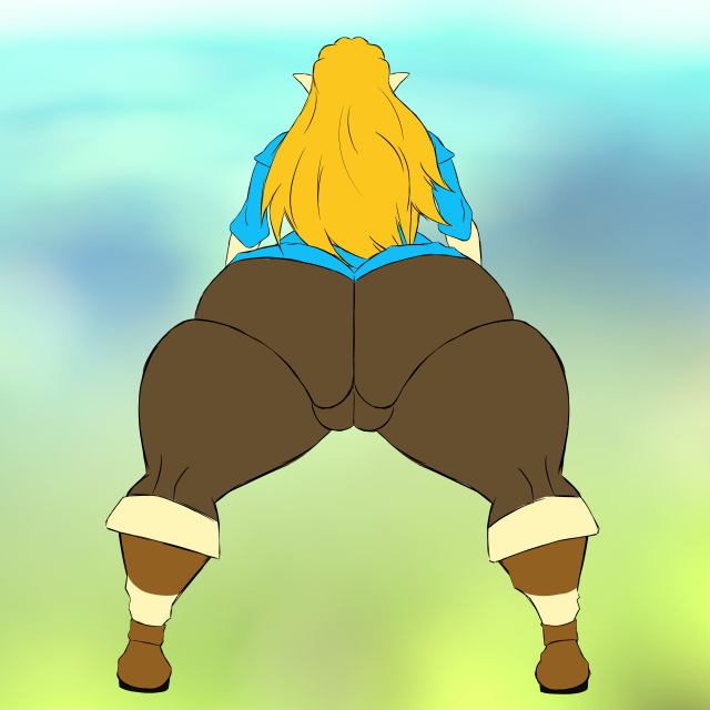 princess zelda,zelda (breath of the wild)