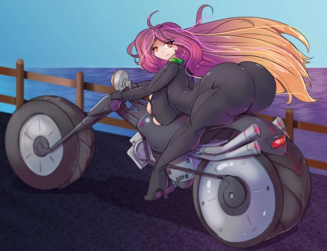 hijiri byakuren,turbo byakuren