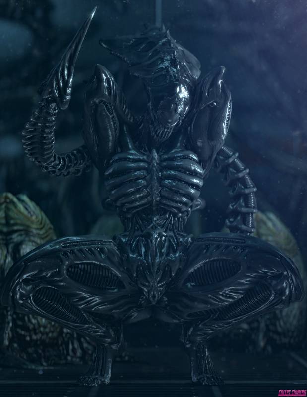 xenomorph