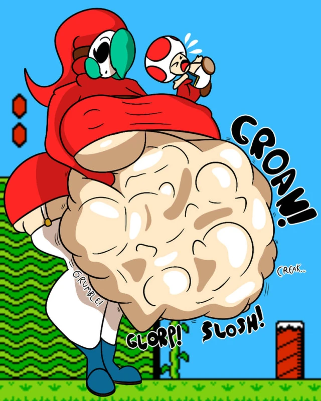 shy gal,toad (mario)