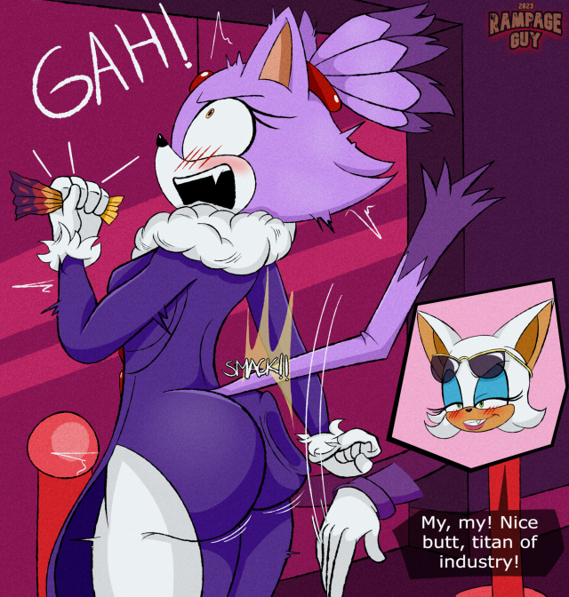 blaze the cat,rouge the bat