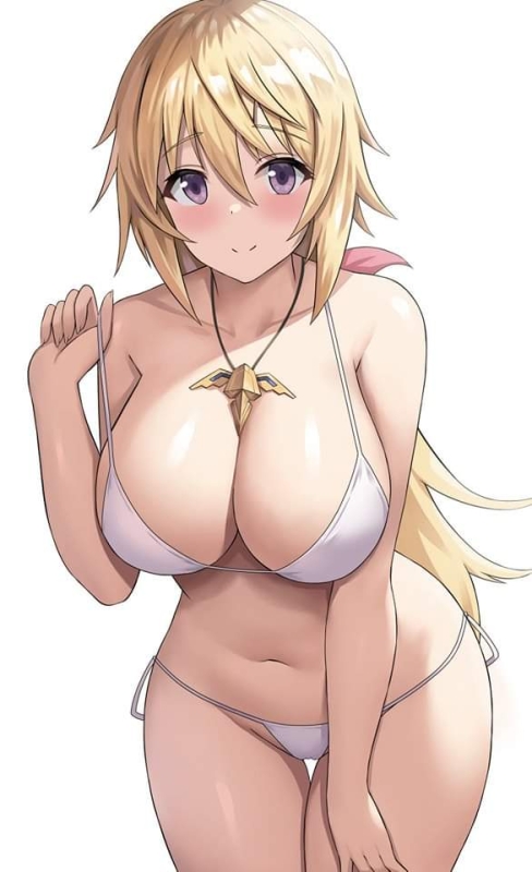 charlotte dunois