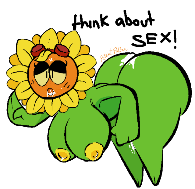 solar flare (pvz),sunflower (pvz)