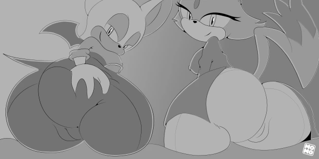 blaze the cat,rouge the bat
