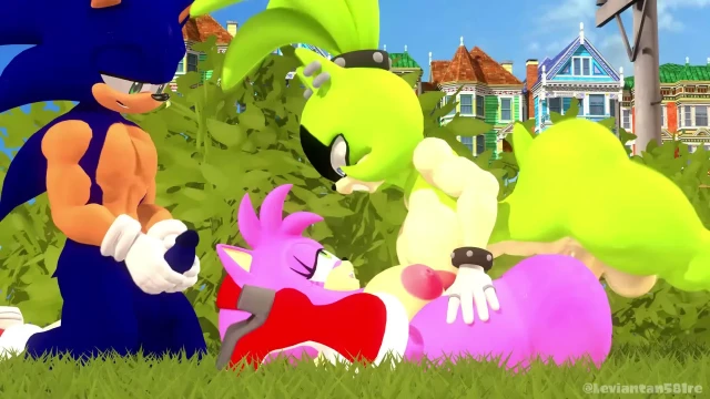 amy rose,sonic the hedgehog,surge the tenrec
