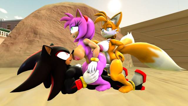 amy rose+shadow the hedgehog+tails+tailsko