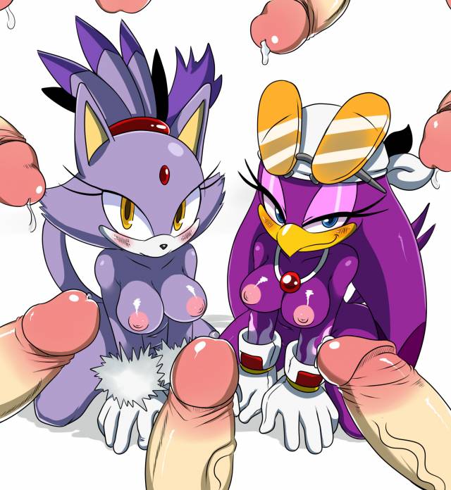 blaze the cat+wave the swallow